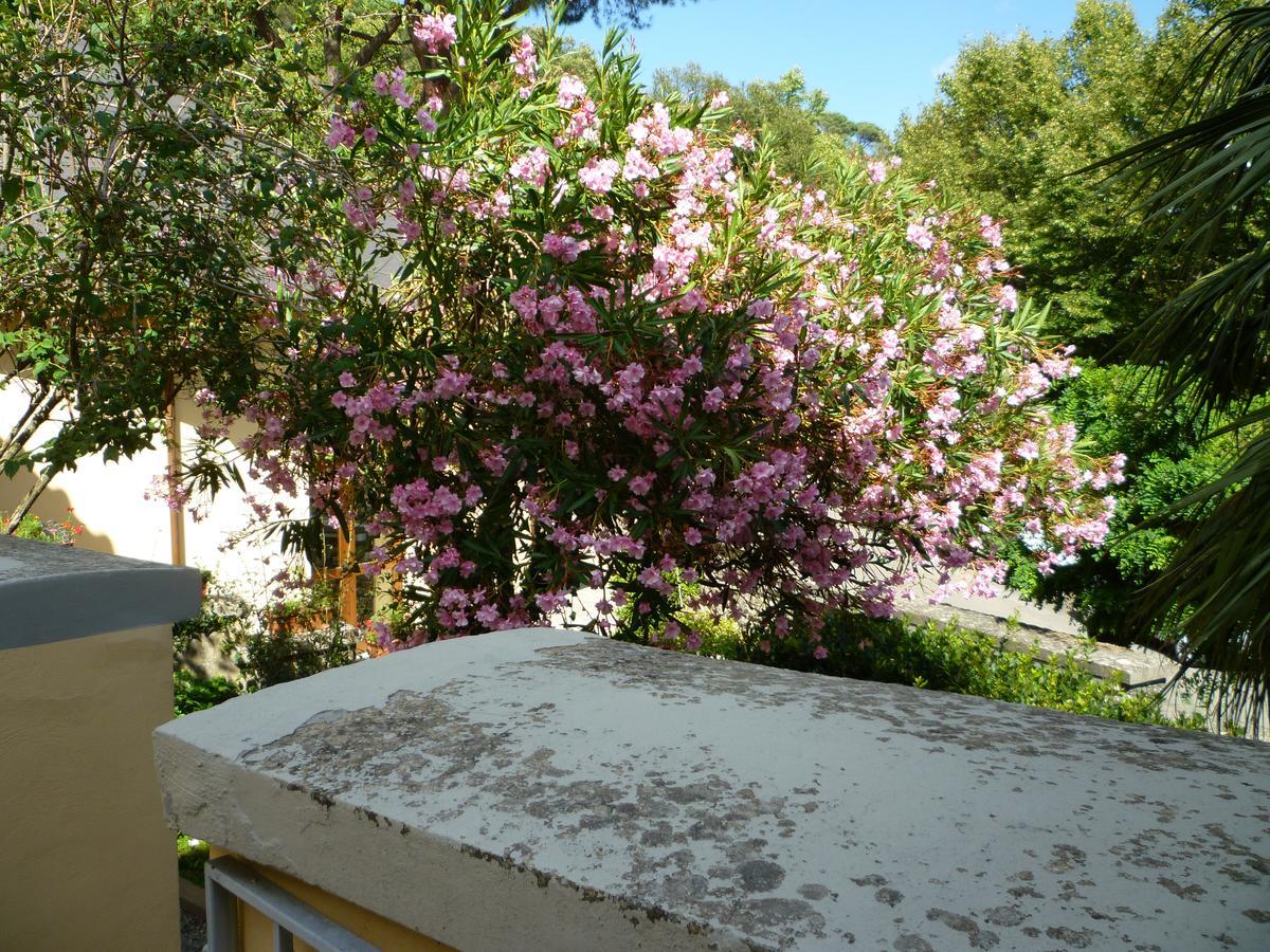 Villa Santa Margherita - B&B Cortona Exteriör bild